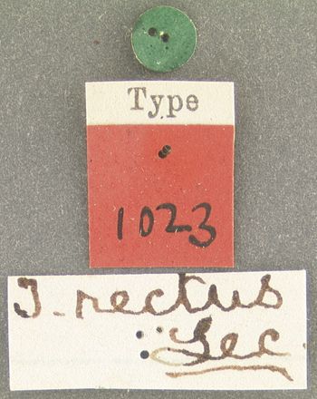 Media type: image;   Entomology 1023 Aspect: labels